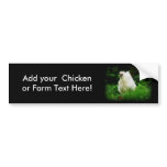 White Chicken in Green Grass bumper stickers