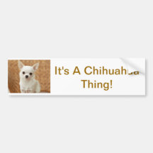 White Chihuahua Bumper Stickers