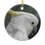 White Cockatoo Ornament