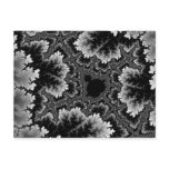 White Coral Postcard