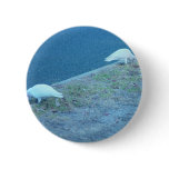 White Corellas On Roadside buttons