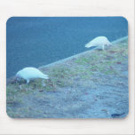 White Corellas On Roadside mousepads
