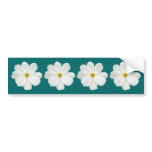 White Cosmos Flower bumper stickers