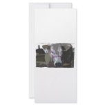 White cow head picture, cartoonized rack cards