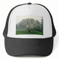 white Crab apple tree, Quebec, Canada flowers Trucker Hat