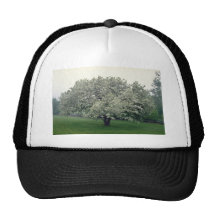 white Crab apple tree, Quebec, Canada flowers Trucker Hat
