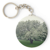 white Crab apple tree, Quebec, Canada flowers Key Chain