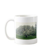 white Crab apple tree, Quebec, Canada flowers Coffee Mug