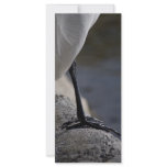 White Crane Bird Bookmarks rack cards
