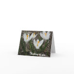 White Crocuses Cards