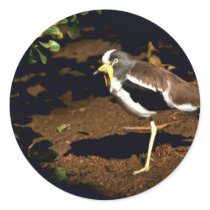 White-crowned Plover Round Stickers