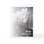 White Cyclamen