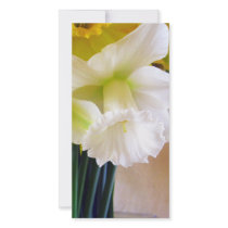 White Daffodil photocard Photo Greeting Card