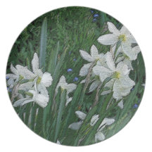 "White Daffodils" plate