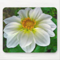 White Dahlia Bloom Mousepad