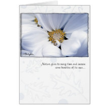 White Dahlia by Anna Wight Cards