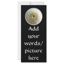 White Dahlia Close-up Rack Card Design
