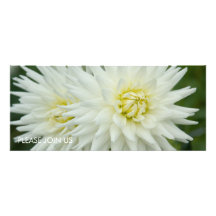 White Dahlia Custom Announcement