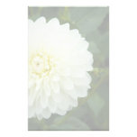 White Dahlia DSC4460 Stationery