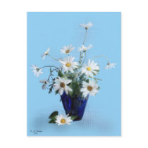 White Daisies