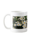 White Daisies Watercolor mugs