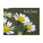 White Daisy Bridal Shower Invitation postcards