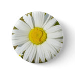 White Daisy buttons