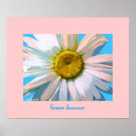 White Daisy , Forever Summer     PRINT