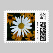 White daisy stamp