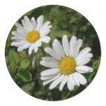 White Daisy Round Stickers