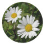 White Daisy Round Stickers