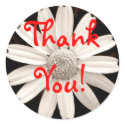 White Daisy Sticker