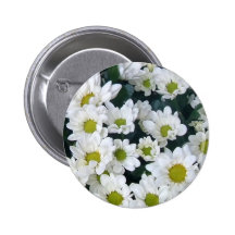 White Daisy vo1 Pin