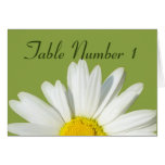 White Daisy Wedding Table Cards