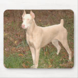 white doberman mousepads