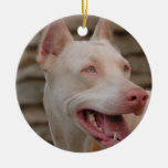 White Doberman Ornament