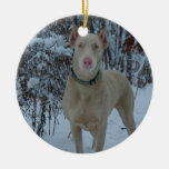 White Doberman Ornament