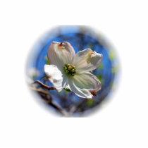 White Dogwood Flower pin Cut Out