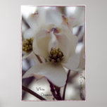 White Dogwood posters