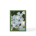 White Dogwood (Raw) cards