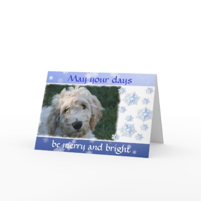 White Doodle Christmas Cards