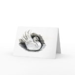 White Dove Greeting Cards