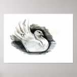 White Dove Poster