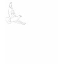 White Dove t-shirts