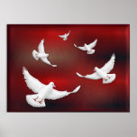 WHITE DOVES OF PEACE POSTER