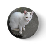White dreaming cat button