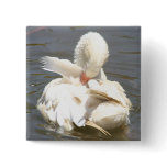White duck buttons