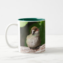 White-eared Hummingbird Mug, left-handled