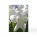 White Easter Lilly Card