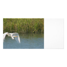 White Egret flying over water grass Picture Card
